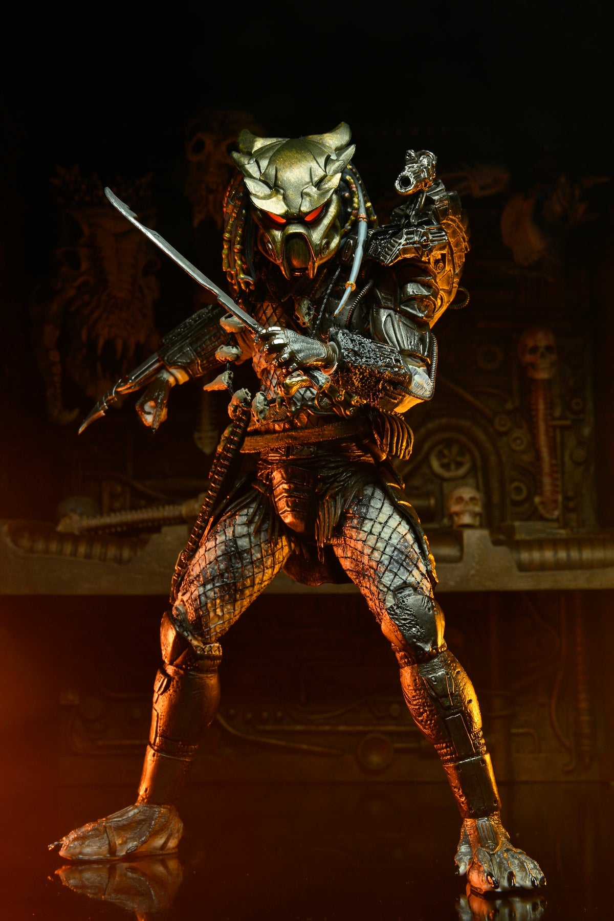 Predator