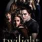 WSH - Twilight - Movie Poster - Capsleeve T-Shirt